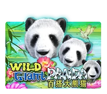 Joker123 : Wild Giant Panda - SADABET138