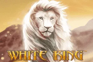 Playtech : White King - SADABET138
