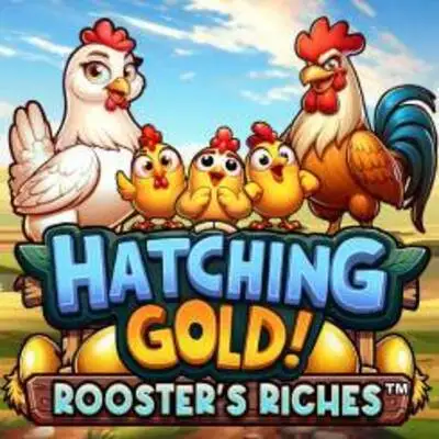 Microgaming : Hatching Gold! Roosters Riches - SADABET138