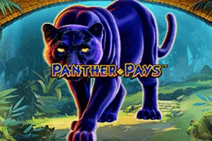 Playtech : Panther Pays - SADABET138
