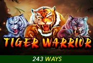 Spadegaming : Tiger Warrior - SADABET138