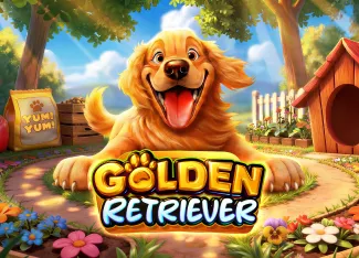 Golden Retriever - SADABET138