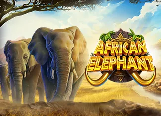 Pragmatic : African Elephant - SADABET138